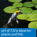 API PondCare Wide Range pH Test Kit