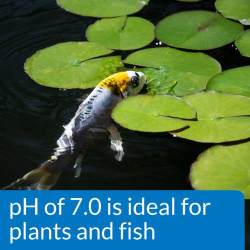 API PondCare Wide Range pH Test Kit