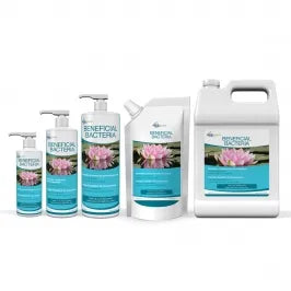 Beneficial Bacterial